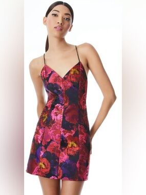 Alice + Olivia Tayla Floral Mini Lantern Dress